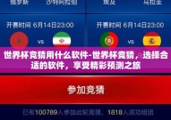 世界杯竞猜用什么软件-世界杯竞猜，选择合适的软件，享受精彩预测之旅