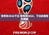 世界杯2026下注-世界杯2026，下注的激情与策略