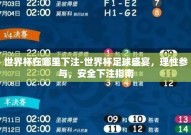世界杯在哪里下注-世界杯足球盛宴，理性参与，安全下注指南