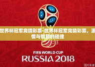 世界杯冠军竞猜彩票-世界杯冠军竞猜彩票，激情与智慧的碰撞