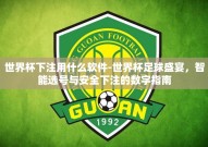世界杯下注用什么软件-世界杯足球盛宴，智能选号与安全下注的数字指南