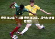 世界杯决赛下注网-世界杯决赛，理性与激情的博弈