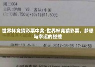 世界杯竞猜彩票中奖-世界杯竞猜彩票，梦想与幸运的碰撞
