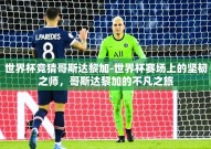 世界杯竞猜哥斯达黎加-世界杯赛场上的坚韧之师，哥斯达黎加的不凡之旅