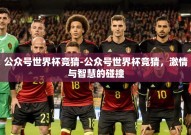 公众号世界杯竞猜-公众号世界杯竞猜，激情与智慧的碰撞