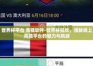 世界杯平台 竞猜软件-世界杯狂欢，揭秘线上竞猜平台的魅力与挑战