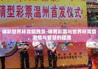体彩世界杯竞猜胜负-体育彩票与世界杯竞猜，激情与智慧的碰撞