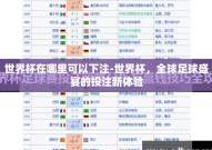 世界杯在哪里可以下注-世界杯，全球足球盛宴的投注新体验