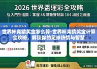 世界杯竞猜奖金怎么算-世界杯竞猜奖金计算全攻略，解锁你的足球热情与智慧