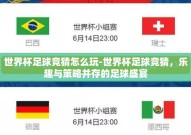世界杯足球竞猜怎么玩-世界杯足球竞猜，乐趣与策略并存的足球盛宴