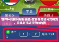 世界杯竞猜网站有哪些-世界杯竞猜网站概览，乐趣与挑战并存的选择