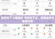 世界杯下注哪里好-世界杯下注，明智选择与策略分析