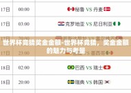 世界杯竞猜奖金金额-世界杯竞猜，奖金金额的魅力与考量