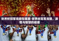 世界杯冠军竞猜在哪里-世界杯冠军竞猜，激情与智慧的碰撞