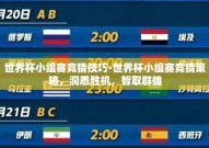 世界杯小组赛竞猜技巧-世界杯小组赛竞猜策略，洞悉胜机，智取群雄