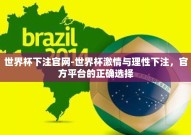 世界杯下注官网-世界杯激情与理性下注，官方平台的正确选择