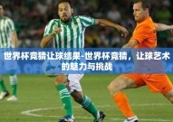 世界杯竞猜让球结果-世界杯竞猜，让球艺术的魅力与挑战