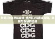世界杯8强足球竞猜-世界杯8强足球竞猜，激情与智慧的碰撞