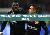 世界杯盘口合法吗?-世界杯盘口，法律与道德的边界