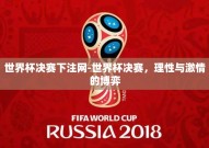 世界杯决赛下注网-世界杯决赛，理性与激情的博弈