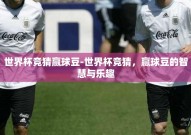 世界杯竞猜赢球豆-世界杯竞猜，赢球豆的智慧与乐趣