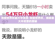 竞猜世界杯最大中奖票-竞猜世界杯，揭秘最大中奖票的奥秘