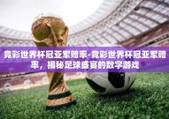 竞彩世界杯冠亚军赔率-竞彩世界杯冠亚军赔率，揭秘足球盛宴的数字游戏