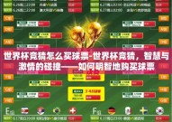 世界杯竞猜怎么买球票-世界杯竞猜，智慧与激情的碰撞——如何明智地购买球票