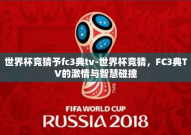 世界杯竞猜予fc3典tv-世界杯竞猜，FC3典TV的激情与智慧碰撞