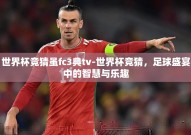 世界杯竞猜虽fc3典tv-世界杯竞猜，足球盛宴中的智慧与乐趣