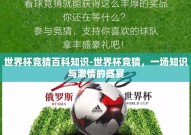 世界杯竞猜百科知识-世界杯竞猜，一场知识与激情的盛宴