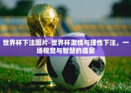世界杯下注图片-世界杯激情与理性下注，一场视觉与智慧的盛宴