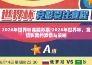 2026年世界杯竞猜彩票-2026年世界杯，竞猜彩票的激情与策略