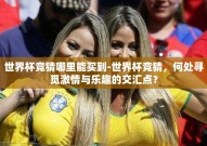 世界杯竞猜哪里能买到-世界杯竞猜，何处寻觅激情与乐趣的交汇点？