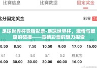 足球世界杯竞猜彩票-足球世界杯，激情与策略的碰撞——竞猜彩票的魅力探索