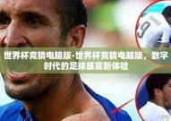 世界杯竞猜电脑版-世界杯竞猜电脑版，数字时代的足球盛宴新体验