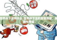 世界杯下注用什么-世界杯下注的智慧选择，策略与考量