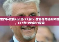 世界杯竞猜app追c77点tv-世界杯竞猜新体验，C77点TV的魅力探索