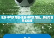 世界杯有奖竞猜-世界杯有奖竞猜，激情与智慧的碰撞