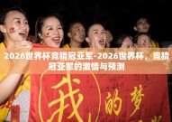 2026世界杯竞猜冠亚军-2026世界杯，竞猜冠亚军的激情与预测