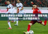 足球世界杯比分竞猜-足球世界杯，激情与智慧的碰撞——比分竞猜的魅力