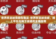 世界杯足球竞猜在哪买-世界杯足球竞猜，线上平台与线下渠道的全面指南