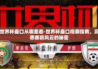 世界杯盘口从哪里看-世界杯盘口观察指南，洞悉赛前风云的秘密