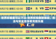 世界杯哪里可以下注-世界杯观赛新体验，合法与安全地享受竞猜乐趣