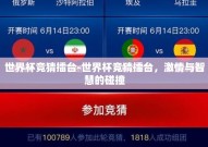 世界杯竞猜擂台-世界杯竞猜擂台，激情与智慧的碰撞