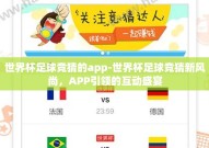 世界杯足球竞猜的app-世界杯足球竞猜新风尚，APP引领的互动盛宴