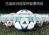 世界杯怎么竞猜的-世界杯竞猜，乐趣与智慧的碰撞