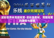 足彩世界杯竞猜冠军-足彩世界杯，竞猜冠军的激情与策略