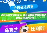 体育彩票世界杯竞彩-体育彩票与世界杯竞彩，激情与机遇的碰撞