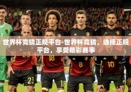 世界杯竞猜正规平台-世界杯竞猜，选择正规平台，享受精彩赛事